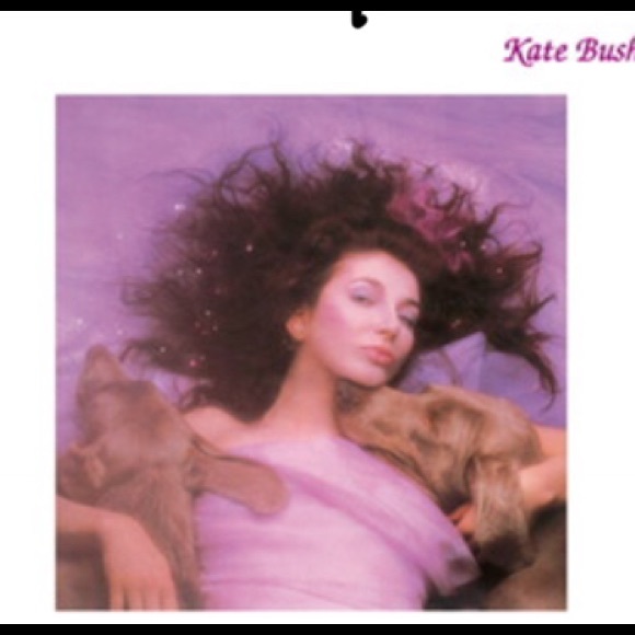 Meet your Posher, Raven - Picture 4 of 8